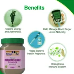 Diabetes Care Powder – 200 GM | Ayurvedic Sugar Control & Metabolism Support Formula - Image 2