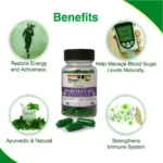 Diabetes Care Capsules – 500 mg (60 Capsules) | Ayurvedic Blood Sugar Support & Metabolism Booster - Image 2